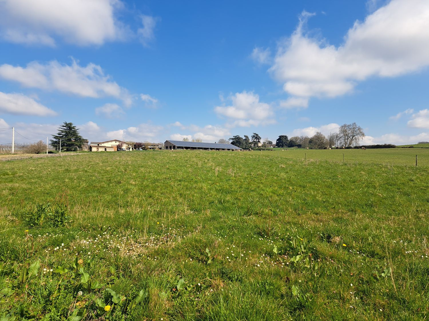 Troisième photo